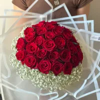 دسته گل هدیه گلفروشی گلژین|گل و گیاه طبیعی|تهران, مرزداران|دیوار