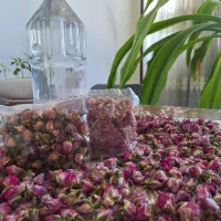 گلاب خانگی ۲ به ۱ وغنچه گل  خشک محمدی