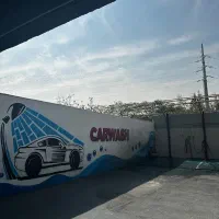 کارگر حرفه ای کارواش