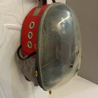 کیف حمل حیوانات