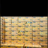 پخش انواع ریسه های تزیینی و وایرلس|ریسه و چراغ تزئینی|تهران, فردوسی|دیوار