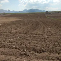 فروش 1000 متر زمین کشاورزی سنددار جهت خانه باغ|فروش زمین و ملک کلنگی|سقز, |دیوار