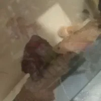 کت فیش شکلاتی
