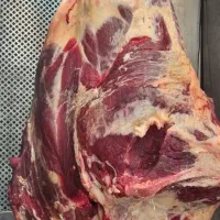 قصاب کاربلد