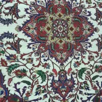 فرش دستباف  ۶متری درحدنوع سالمه سالم