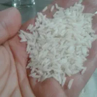 برنج هاشمی
