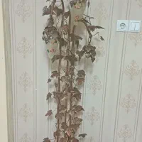 چراغ