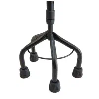 عصا چهار پایه سرو پیکر توس|آرایشی، بهداشتی، درمانی|قم, لسانی|دیوار