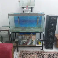 آکواریوم و لوازم و بخاری