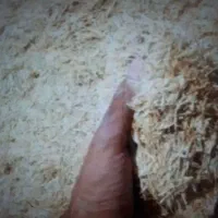 کاه درجه یک دیمی