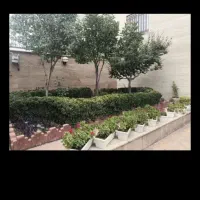 مغازه-بهار-یک-35-متر-بهترین-لوکیشن