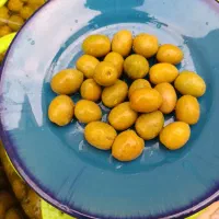 پخش زیتون  مجید|خوردنی و آشامیدنی|رشت, بلوار گیلان|دیوار