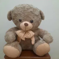 عروسک خرسی یا شاخسین