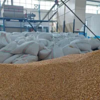 انواع خوراک دام و طیور|حیوانات مزرعه|شهریار, شهریار|دیوار