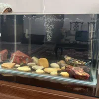 آکواریوم|ماهی|اصفهان, کوی ولی عصر|دیوار