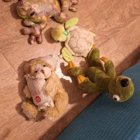 عروسک‌های پولیشی