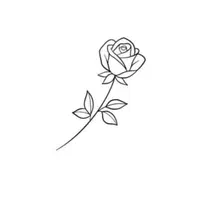 تتوکار|خدمات آرایشگری و زیبایی|گلستان (تهران), |دیوار