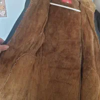 کاپشن گرم نرم|لباس|شیراز, چوگیاه‎|دیوار