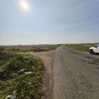 3800متر مزرعه دو بر بیجار مکانیزه شلمان|فروش زمین و ملک کلنگی|شلمان, |دیوار