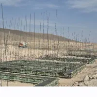 استخدام کارگر