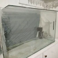 اکواریوم|ماهی|تویسرکان, |دیوار