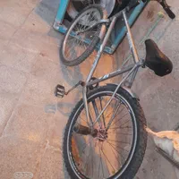 دوچرخه ۲۶ آساک|دوچرخه، اسکیت، اسکوتر|خاش, |دیوار