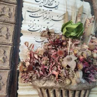 کارشناس ارشد روانشناسی خانم