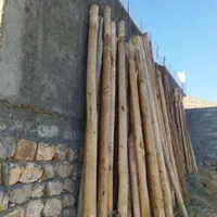 خرید انواع چنار  سقفی وهر نوع چوب دیگر