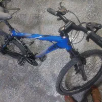 دوچرخه ویوا|دوچرخه، اسکیت، اسکوتر|برازجان, |دیوار