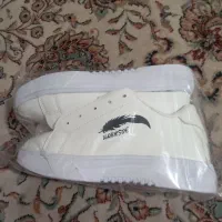 کتانی نایک|کیف، کفش، کمربند|شهریار, شهریار|دیوار