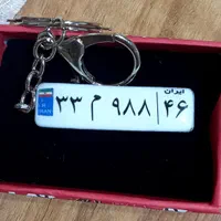 جاسوئیچی پلاک