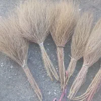 فروش جارو کشمونی