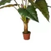 گل ودرختچه|گل مصنوعی|تهران, مشیریه|دیوار