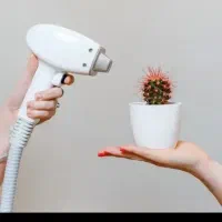 جشنواره لیززموهای ذاعدفول بادی ۵۵۰