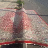 فرش قالی ۲۴ متری|فرش|یزد, |دیوار