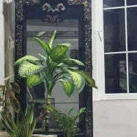 بوفه در حد نو