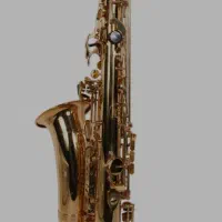 ساکسیفون آلتو سوزوکی طلائی|سازهای بادی|قزوین, |دیوار