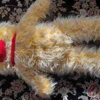 خرس پشمی|اسباببازی|نهاوند, |دیوار