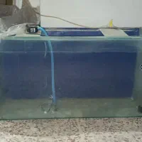 اکواریوم شیشه خم سالم