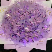 بوکت پروانه ای|ریسه و چراغ تزئینی|ارومیه, |دیوار