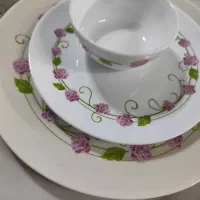 آرکوپال شیک|ظروف سرو و پذیرایی|کرمانشاه, |دیوار