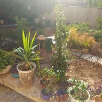 مستقلات ۲۲۰ متری(مناسب تمامی مشاغل)