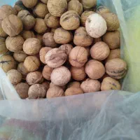 گردو بوانات پوست کاغذی|خوردنی و آشامیدنی|زرقان, |دیوار