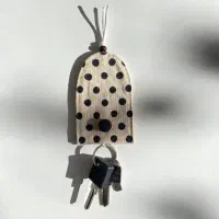 کیف جاسوییچی