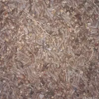 خریدنون خشک