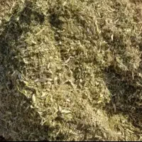 کاه لوبیا قرمز