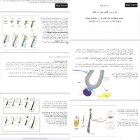انجام پروژه‌های تحقیقاتی و پاورپوینت دانشجویی|خدمات آموزشی|ساری, |دیوار