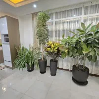 161 متر نوساز فول سندار زیر قیمت نسترن زوج|فروش آپارتمان|گلستان (تهران), |دیوار