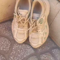 یک جفت کتانی تمیز  درحد نو سایز ۳۸