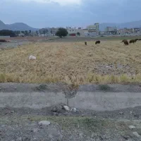 زمین-باغ-بیابان-مینادشت